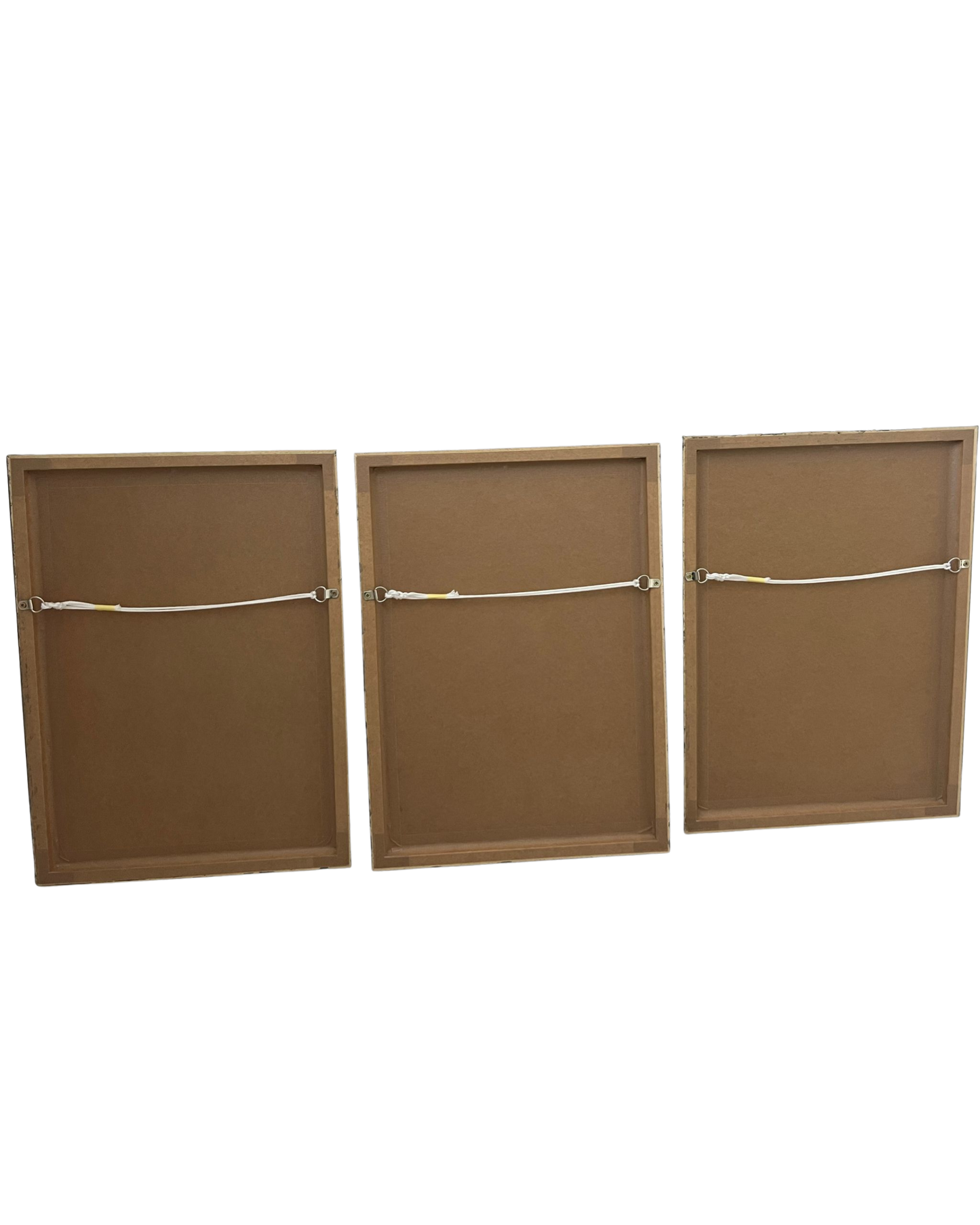 Prints from Palestine (Set of 3 - Framed)