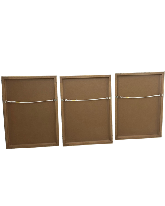 Prints from Palestine (Set of 3 - Framed)